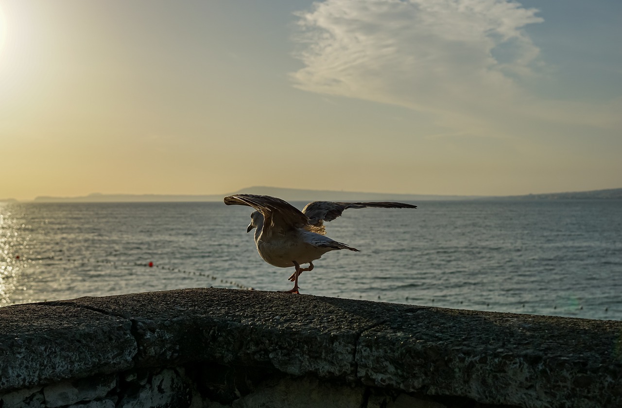 How to Be a Responsible Tourist in Italy’s Amalfi Coast